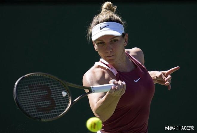 什琴斯尼的 什琴斯尼的