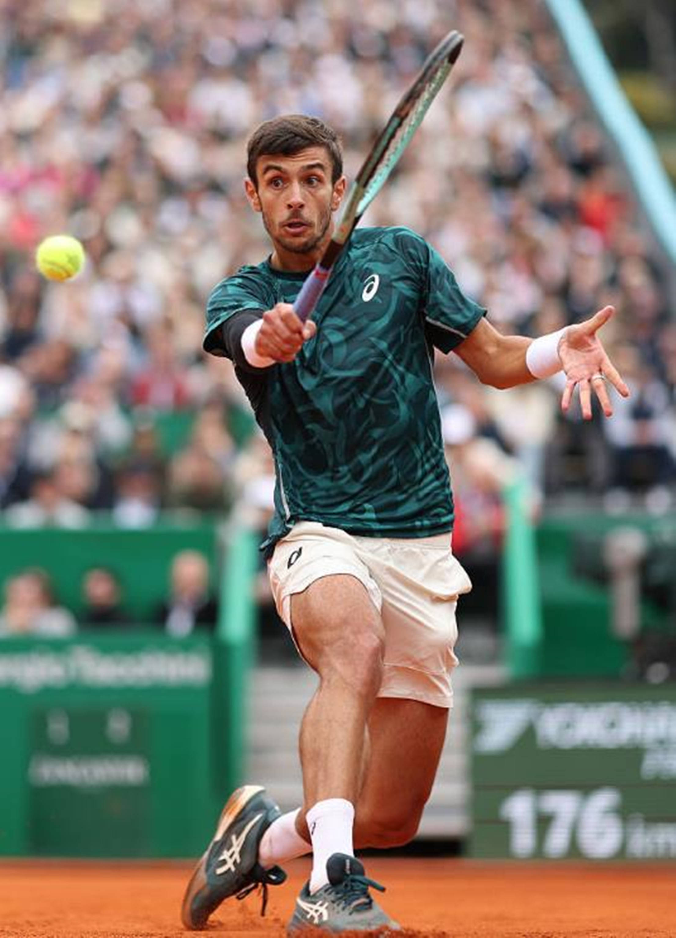 体现的是对 体现的是对